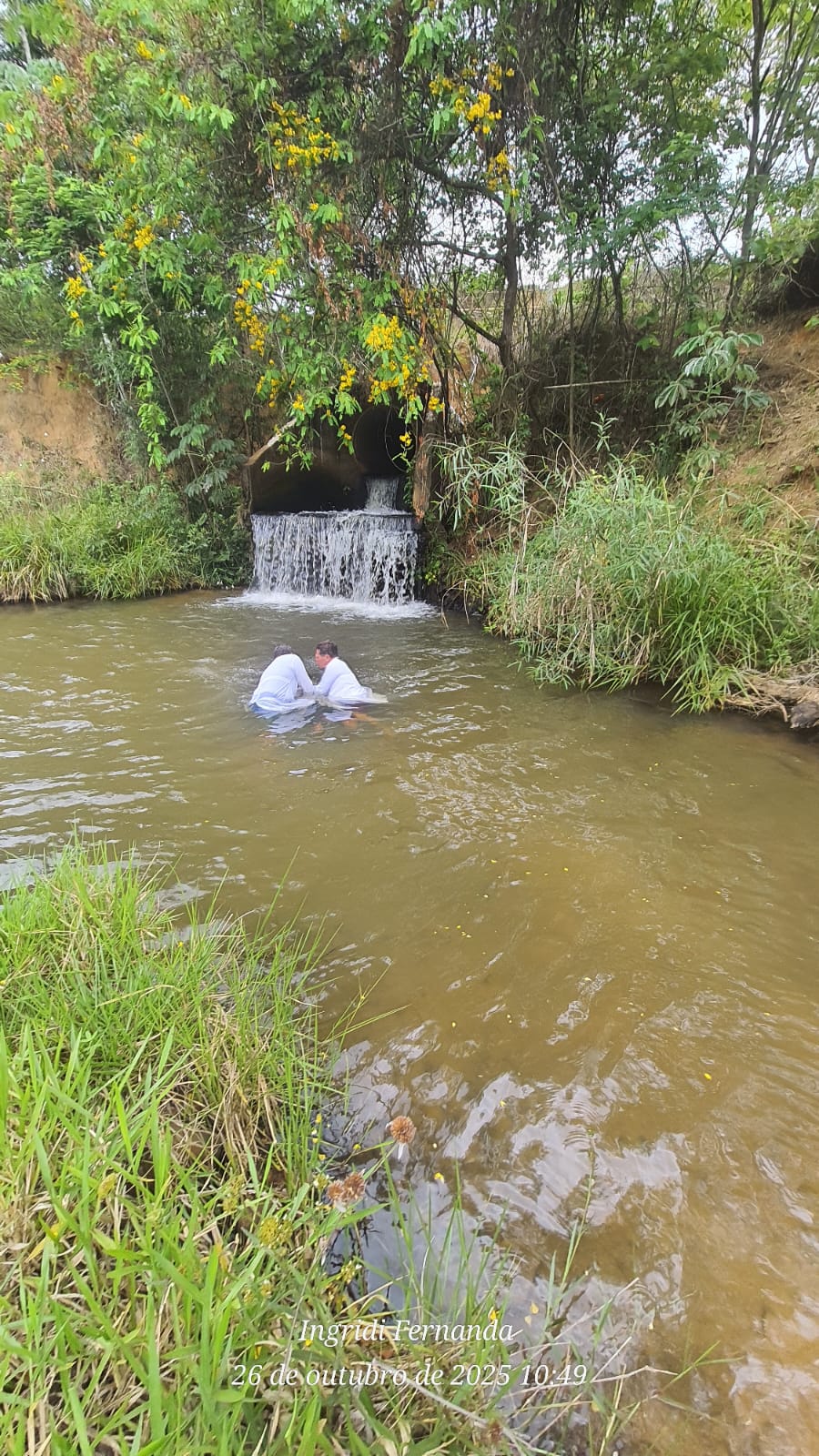 Imagem do WhatsApp de 2025 10 30 às 17.21.50 26550e58